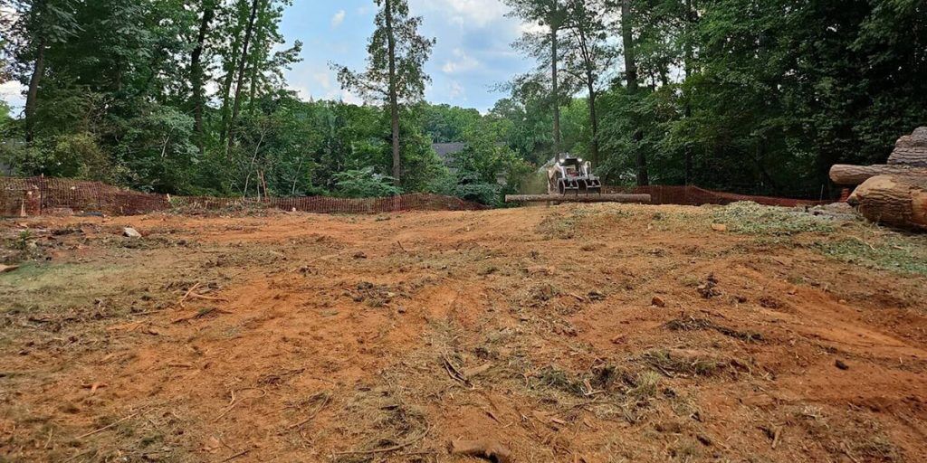 does clearing land increase property value
